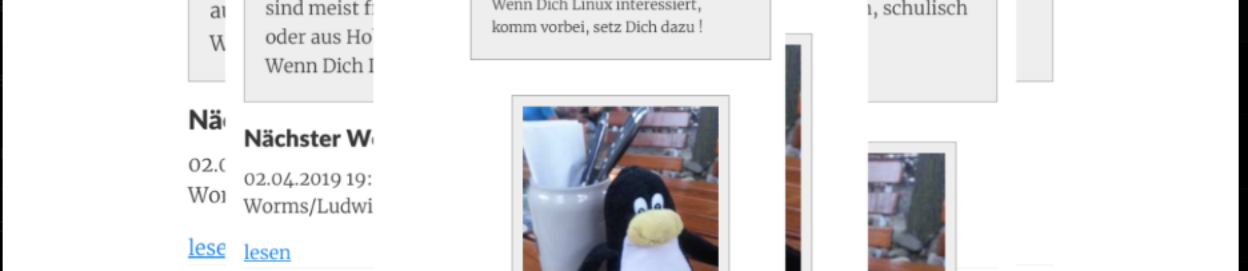 phantomJS macht Screenshots